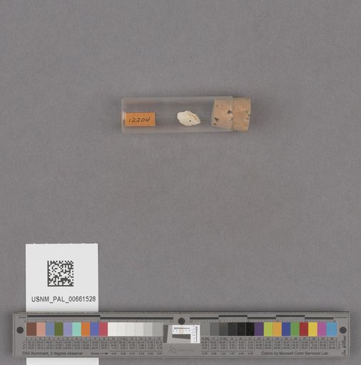 NSF ADBC EPICC TCN