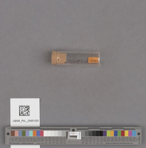 NSF ADBC EPICC TCN