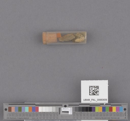 NSF ADBC EPICC TCN