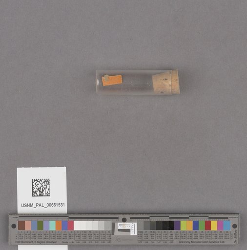 NSF ADBC EPICC TCN
