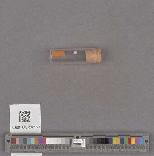 NSF ADBC EPICC TCN