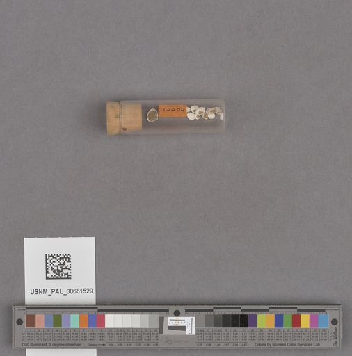 NSF ADBC EPICC TCN