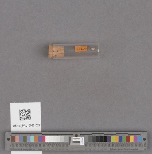 NSF ADBC EPICC TCN
