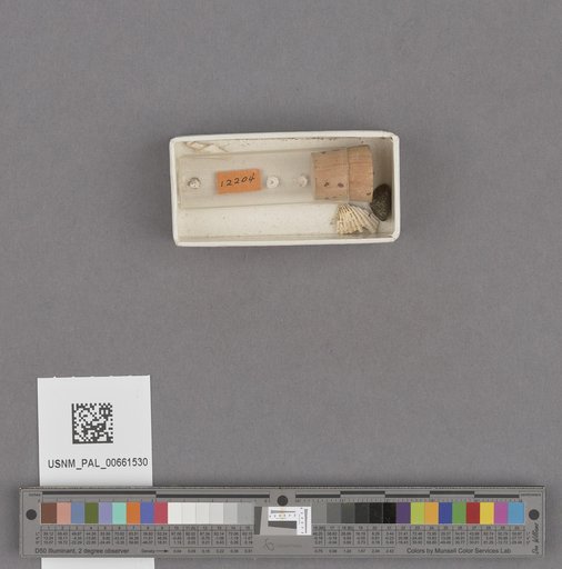 NSF ADBC EPICC TCN