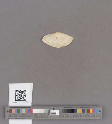 NSF ADBC EPICC TCN