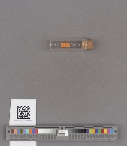 NSF ADBC EPICC TCN