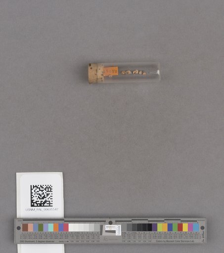 NSF ADBC EPICC TCN