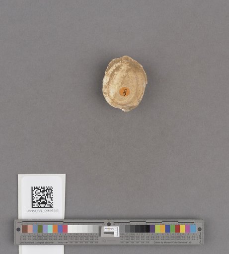 NSF ADBC EPICC TCN