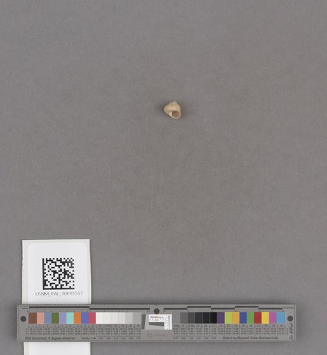 NSF ADBC EPICC TCN