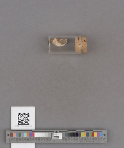 NSF ADBC EPICC TCN