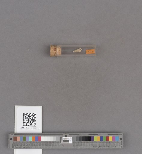NSF ADBC EPICC TCN