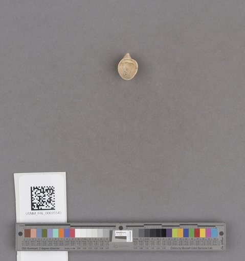 NSF ADBC EPICC TCN