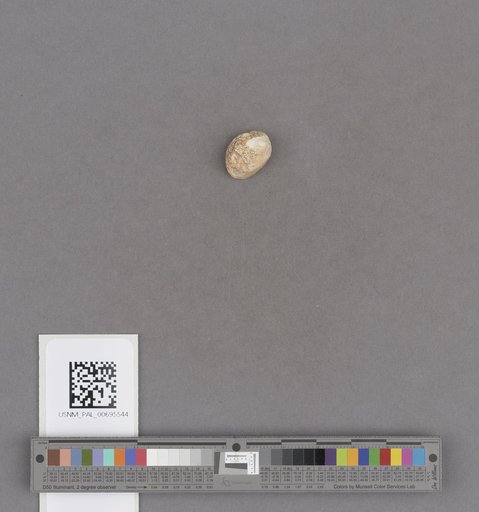NSF ADBC EPICC TCN