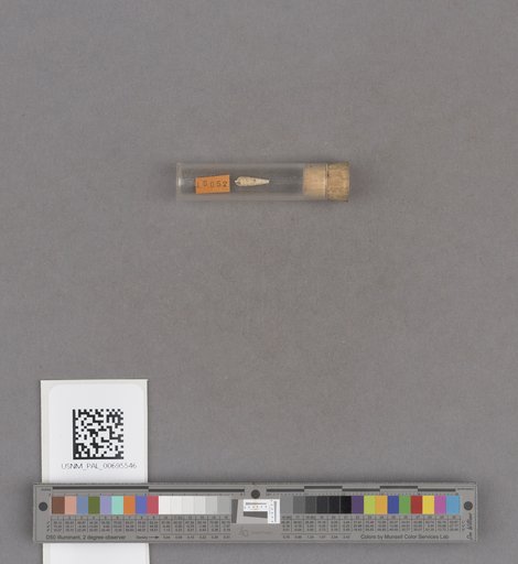 NSF ADBC EPICC TCN