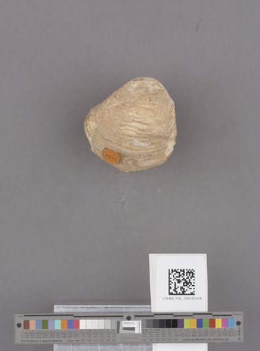 NSF ADBC EPICC TCN