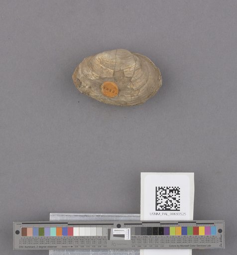 NSF ADBC EPICC TCN