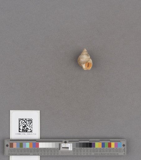 NSF ADBC EPICC TCN
