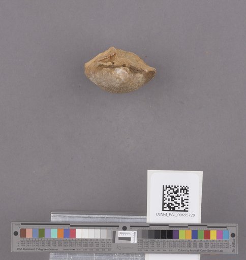 NSF ADBC EPICC TCN