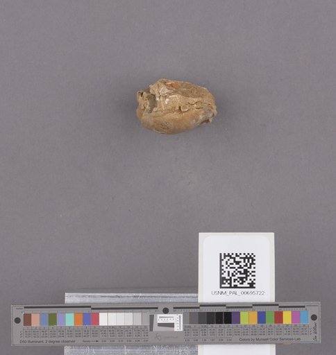 NSF ADBC EPICC TCN