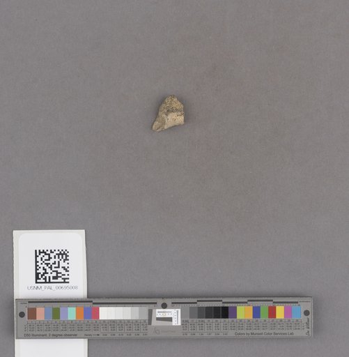 NSF ADBC EPICC TCN