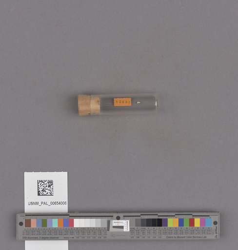 NSF ADBC EPICC TCN