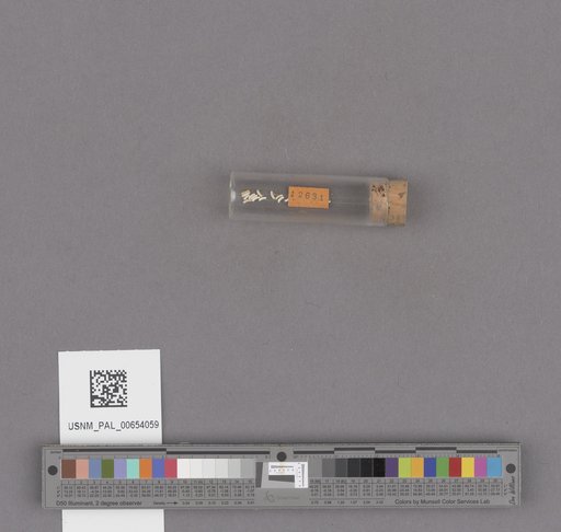 NSF ADBC EPICC TCN