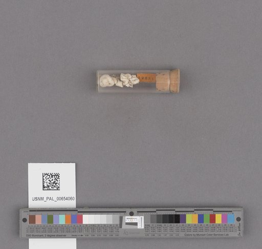 NSF ADBC EPICC TCN