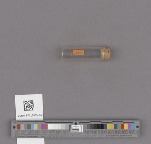 NSF ADBC EPICC TCN