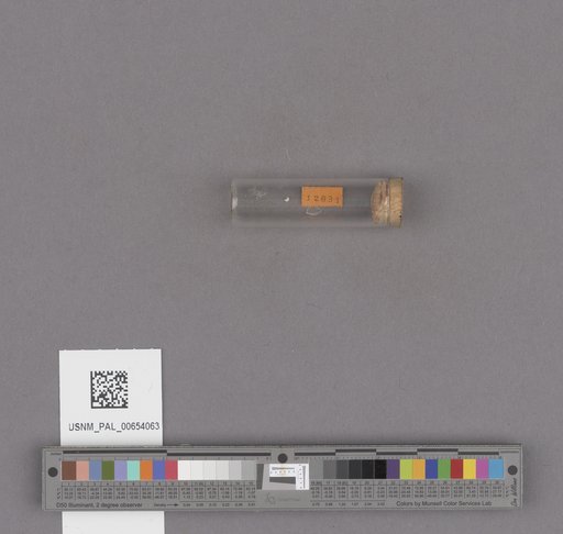 NSF ADBC EPICC TCN