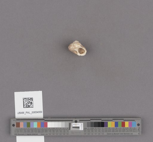 NSF ADBC EPICC TCN