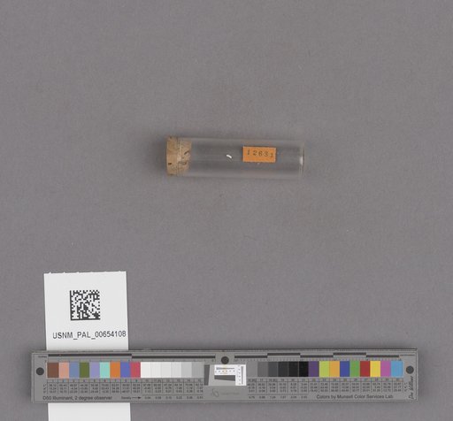 NSF ADBC EPICC TCN