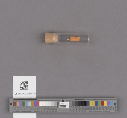 NSF ADBC EPICC TCN