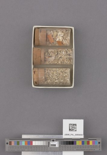 NSF ADBC EPICC TCN