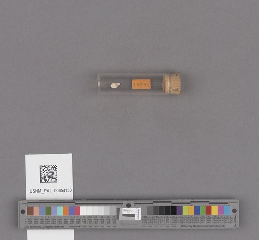 NSF ADBC EPICC TCN