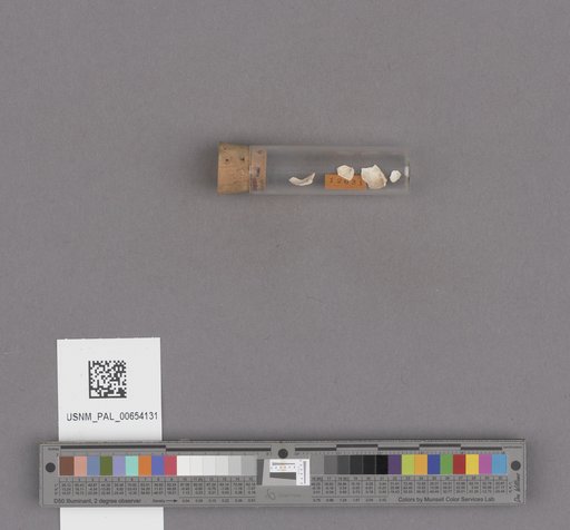 NSF ADBC EPICC TCN