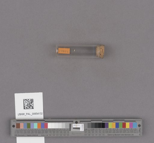 NSF ADBC EPICC TCN