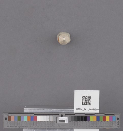 NSF ADBC EPICC TCN