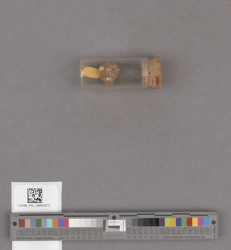 NSF ADBC EPICC TCN