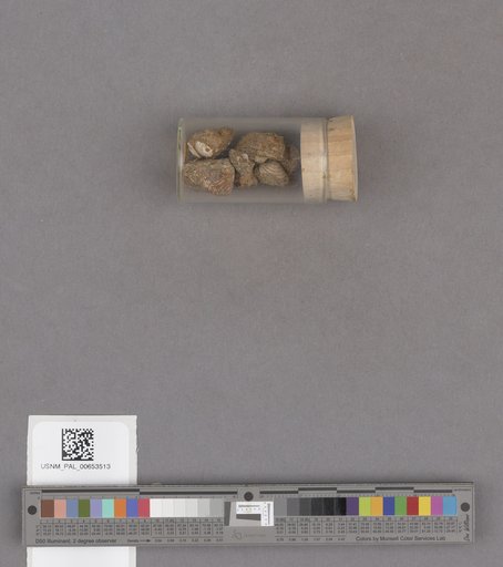 NSF ADBC EPICC TCN