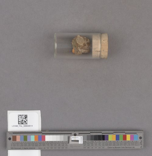 NSF ADBC EPICC TCN