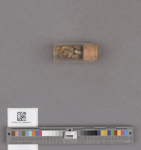 NSF ADBC EPICC TCN
