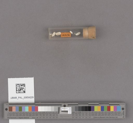 NSF ADBC EPICC TCN