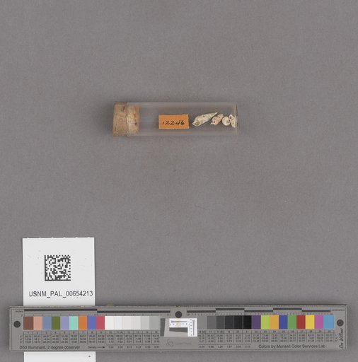 NSF ADBC EPICC TCN