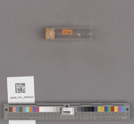 NSF ADBC EPICC TCN