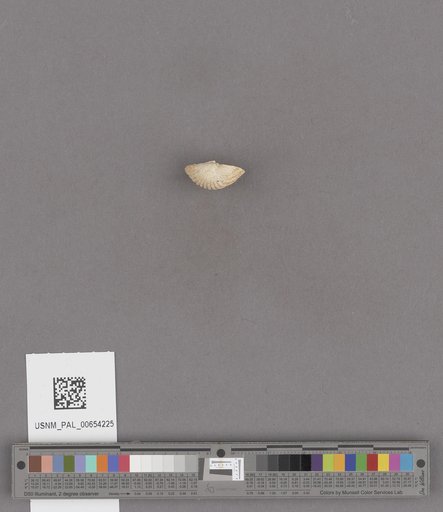 NSF ADBC EPICC TCN