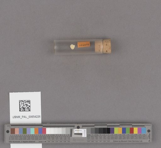 NSF ADBC EPICC TCN