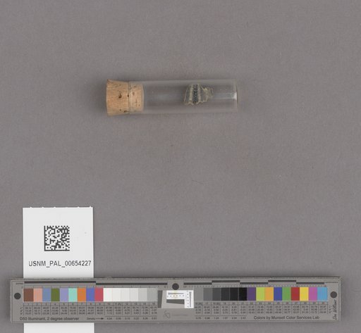 NSF ADBC EPICC TCN