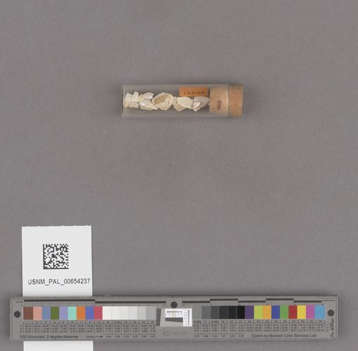 NSF ADBC EPICC TCN