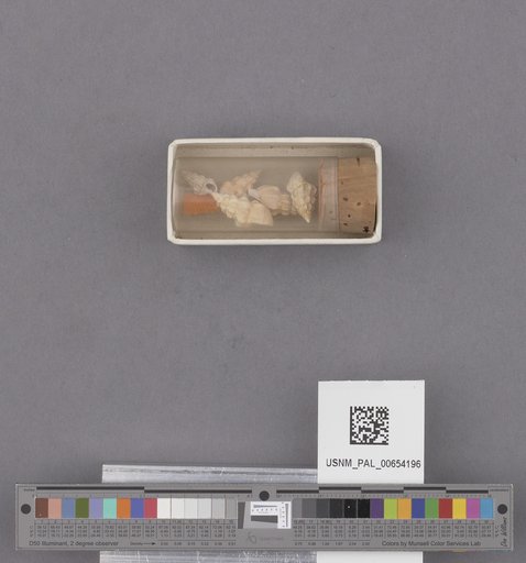 NSF ADBC EPICC TCN