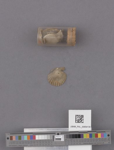 NSF ADBC EPICC TCN